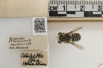 Media type: image;   Entomology 788784 Aspect: Labels